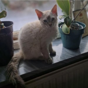 126792cb-82dd-48b9-acf2-cd8a369d897e