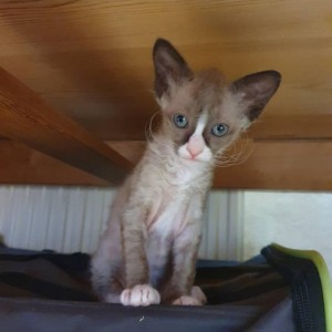 344062bc-48d7-4e69-bd86-318e5de0c7a2