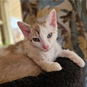 41c3864d-4d63-4c6e-9156-c70b30b25431