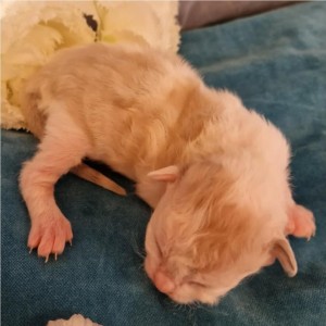 8ef1faf9-17ab-46b9-9ffa-5e27627b2fe3