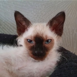 92f012b0-11ca-482d-9bb9-6f19e0f16bad