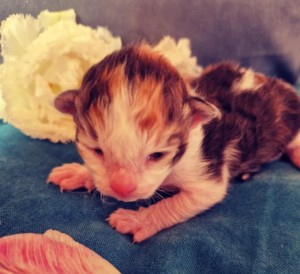 a9eaee7d-d409-493e-89a9-43261be8ec81