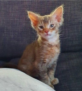 ab63c1d0-fd2a-4c9d-88fb-eda7a538966c