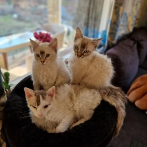 b281cbaf-1a54-42bc-8269-5a3016bd9254