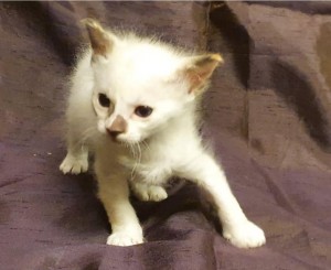 b4f07e79-9a9b-4aa0-8680-ba6c2e812e58