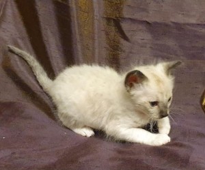 b681be01-959b-4416-9cce-1c404301a1d5