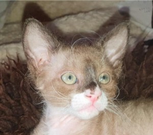 c4c9c534-252c-4b7c-a67c-a00d209f1c91