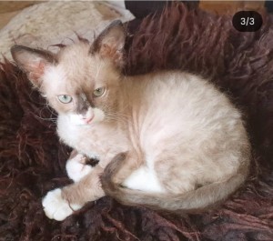 d2c8d19a-2e57-4980-a993-396489616ffe