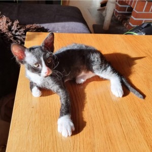 daf53fea-7a2f-4865-af44-9b3e5462e6b1