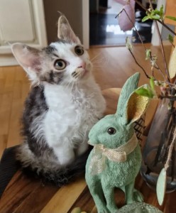 db95aca9-f6bd-4351-9bc0-4f76c4177402