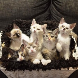 def27106-7685-4d33-9aeb-30dc08a70608