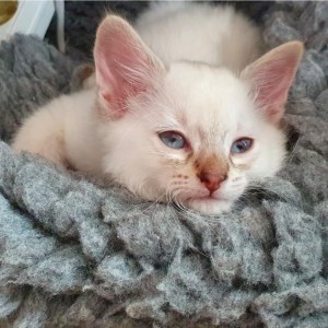 e0d5510e-b03c-4921-ac2b-8a9047b445e7