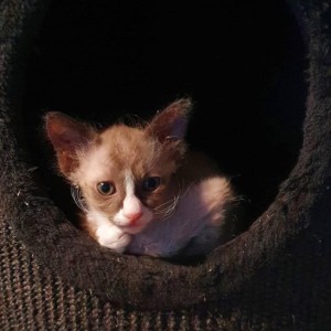 ef66cd7e-fffb-4ddd-bfdf-c85ef78ca5b3