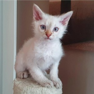 f56412d7-f7c1-4e2e-a603-c5a853ad6ad6