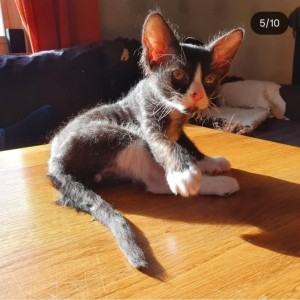 fb6daa07-f9b1-4b76-84b3-41e50d8aab53