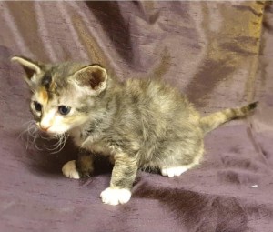 ff89192b-60ba-4573-a233-d49bff846058