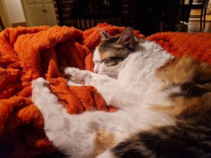 14f5abf1-9ad3-4834-bafe-5d899c33c247