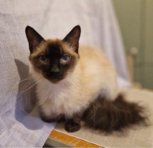 2fd7b667-37d1-4705-986e-bc86c45b2c7a