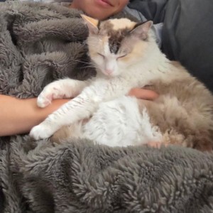 46a67f6e-f86e-4c9b-899b-96ddbb982c5c