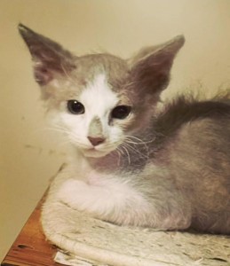 743449f0-194e-4e67-8119-aa3ef91a0ae6