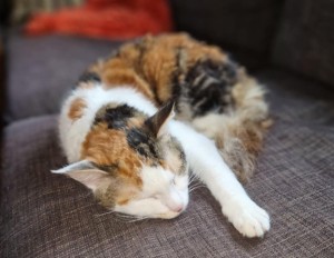 881792e3-825d-43f1-938d-a1a469fe3349