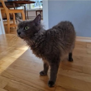 8af4071a-5128-48d5-a6ff-f9d147778463