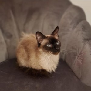 9fd13d7e-2531-47a4-b5a9-953bd0140858