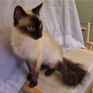 a83f1970-a97d-4a7d-92cd-aa8d016a8595