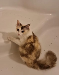 adee05d5-6b2d-44f9-b5e0-087a9cf46fb7