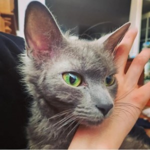 b12a32ed-24ee-4c32-bd04-7f8df65f1ca4