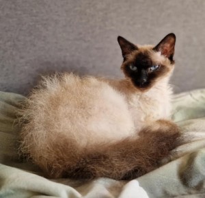 b9451a64-13a4-4b21-9b7d-64056652be59