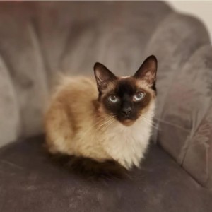 ce32865b-1c6a-4457-b951-b9bbcd337f2a