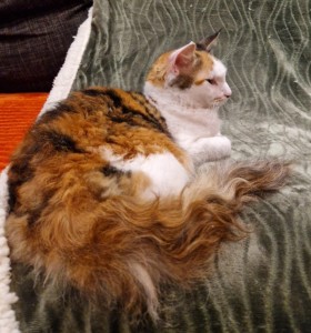 d3de4139-2295-45a2-be9e-37f8e923e5a0