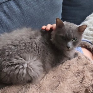 eb862ae8-6808-4eda-8f99-fd48cfe014a4